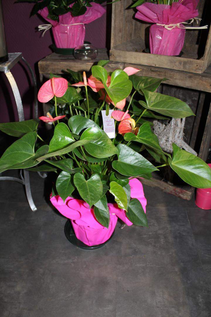 Bouquet de fleurs original Saint-Satur