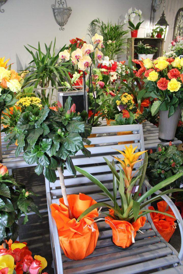 Bouquet de fleurs original Saint-Satur