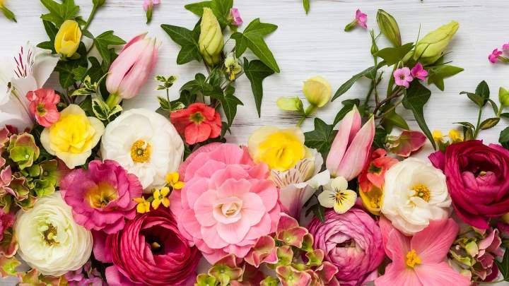 Bouquet de fleurs original Saint-Satur