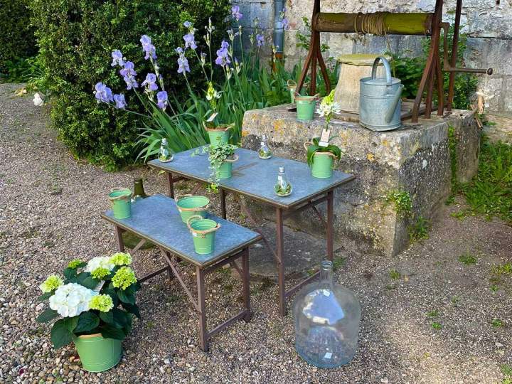 Composition florale Saint-Satur